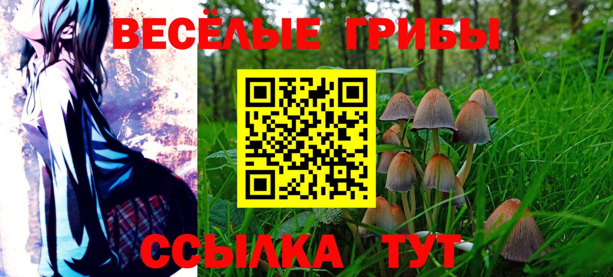 Псилоцибиновые грибы MAGIC MUSHROOMS Энгельс